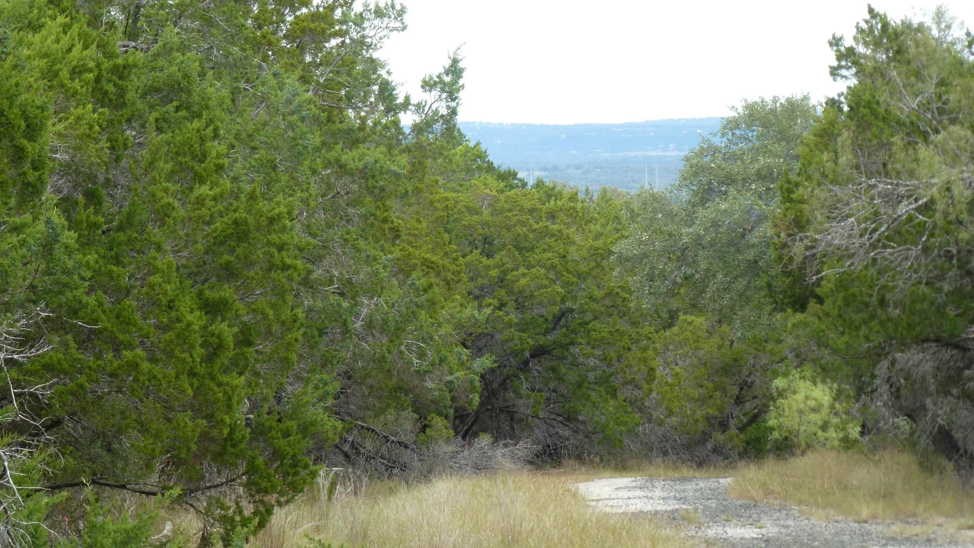 0.25 acres in Burnet County featured view