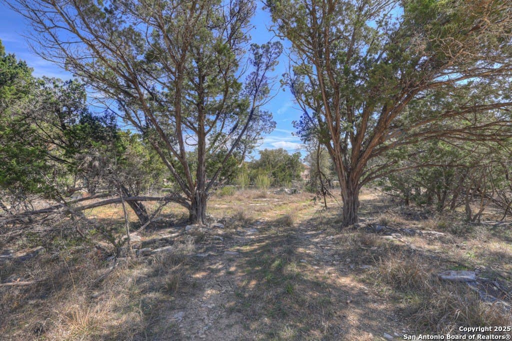 1.08 acres in Comal County gallery image 2