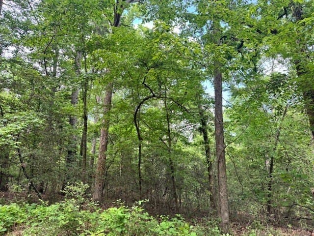 0.93 acres in Texas County gallery image 4
