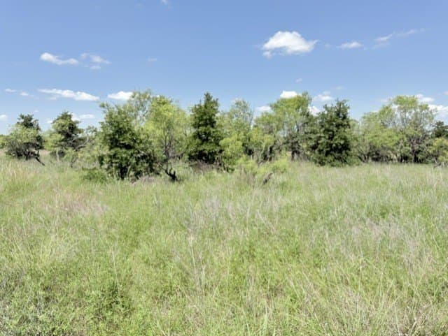 28.4 acres in Clay County gallery image 2