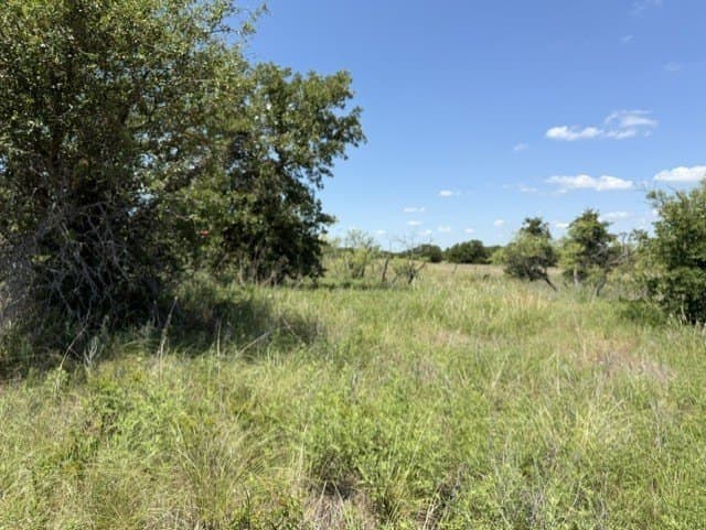 28.4 acres in Clay County