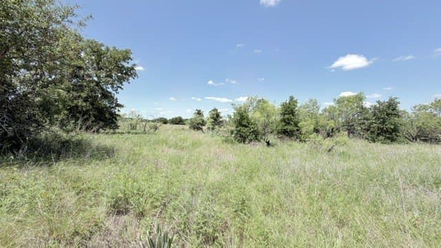 28.4 acres in Clay County gallery image 4
