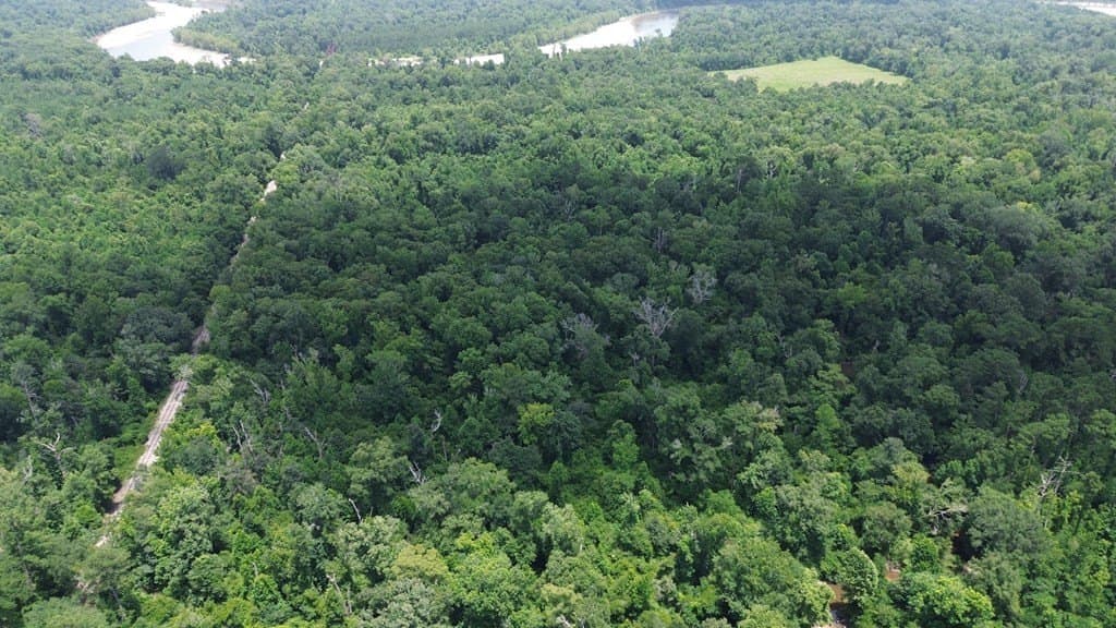 37.6 acres in Texas County - photo 14