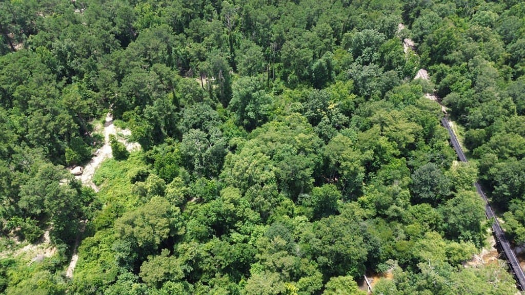 37.6 acres in Texas County - photo 10