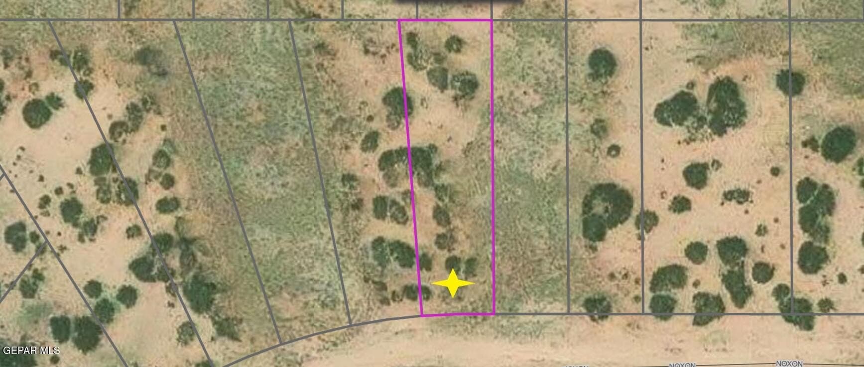 0.25 acres in El Paso County - photo 9