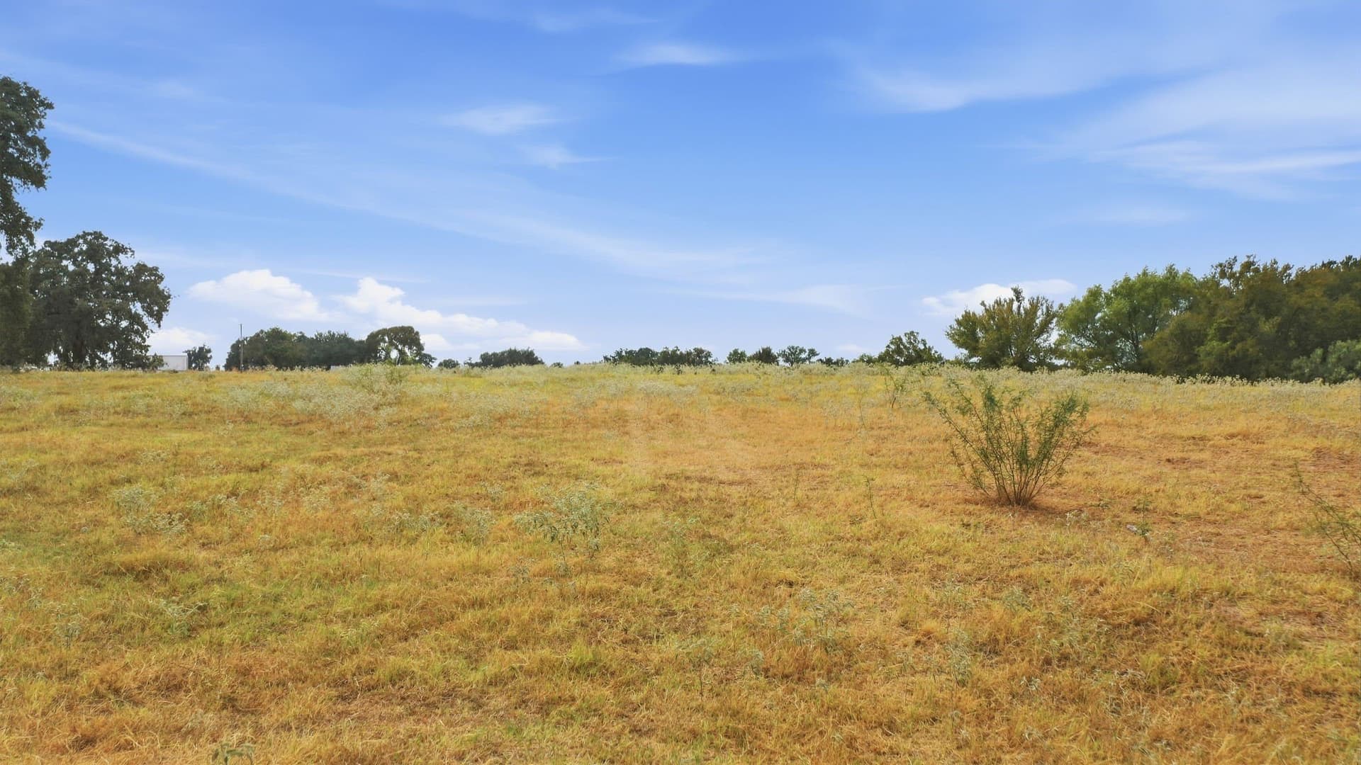 83 acres in Comanche County - photo 11