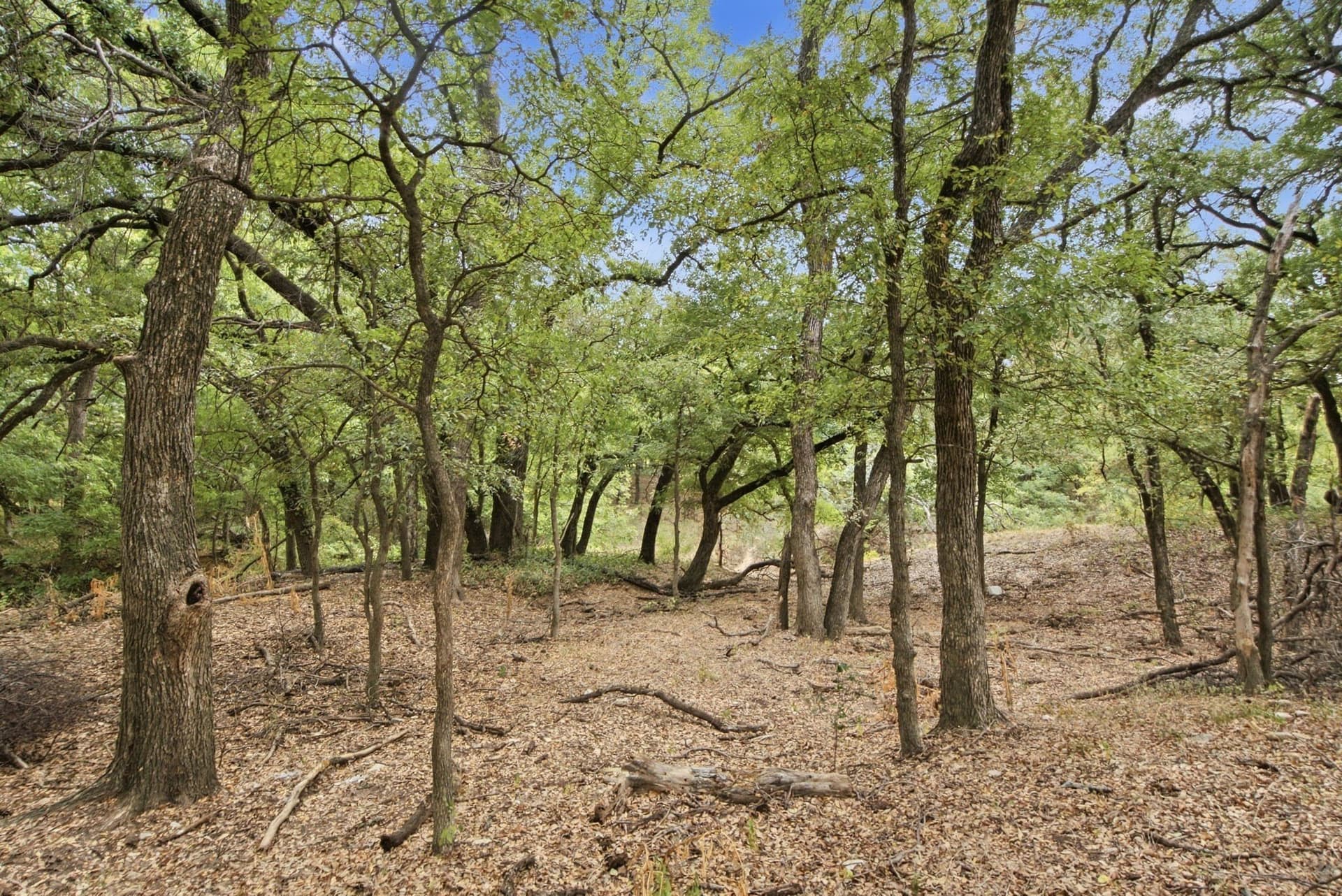 83 acres in Comanche County - photo 27