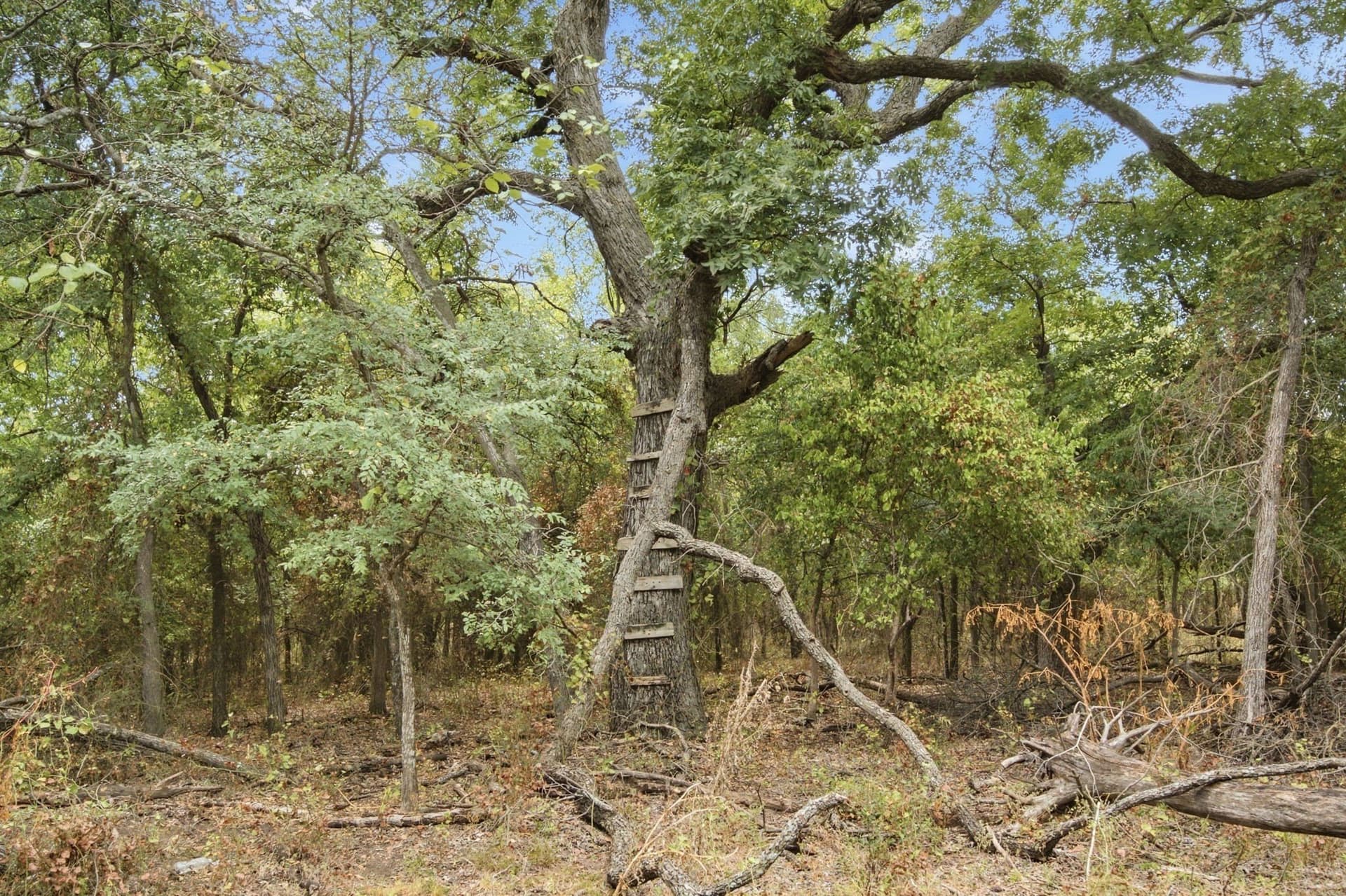 83 acres in Comanche County - photo 34