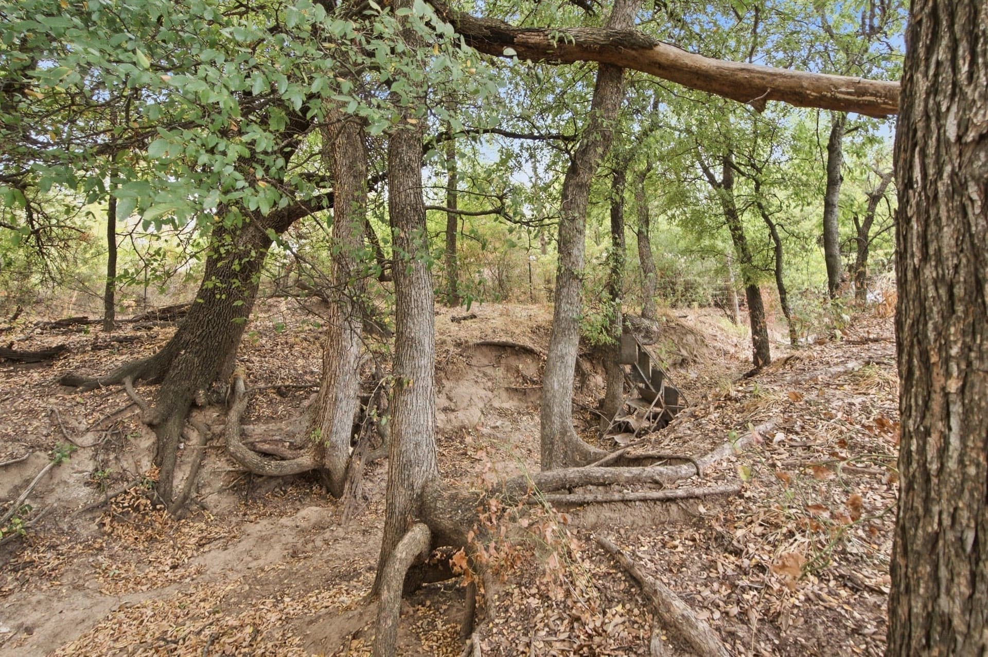83 acres in Comanche County - photo 25