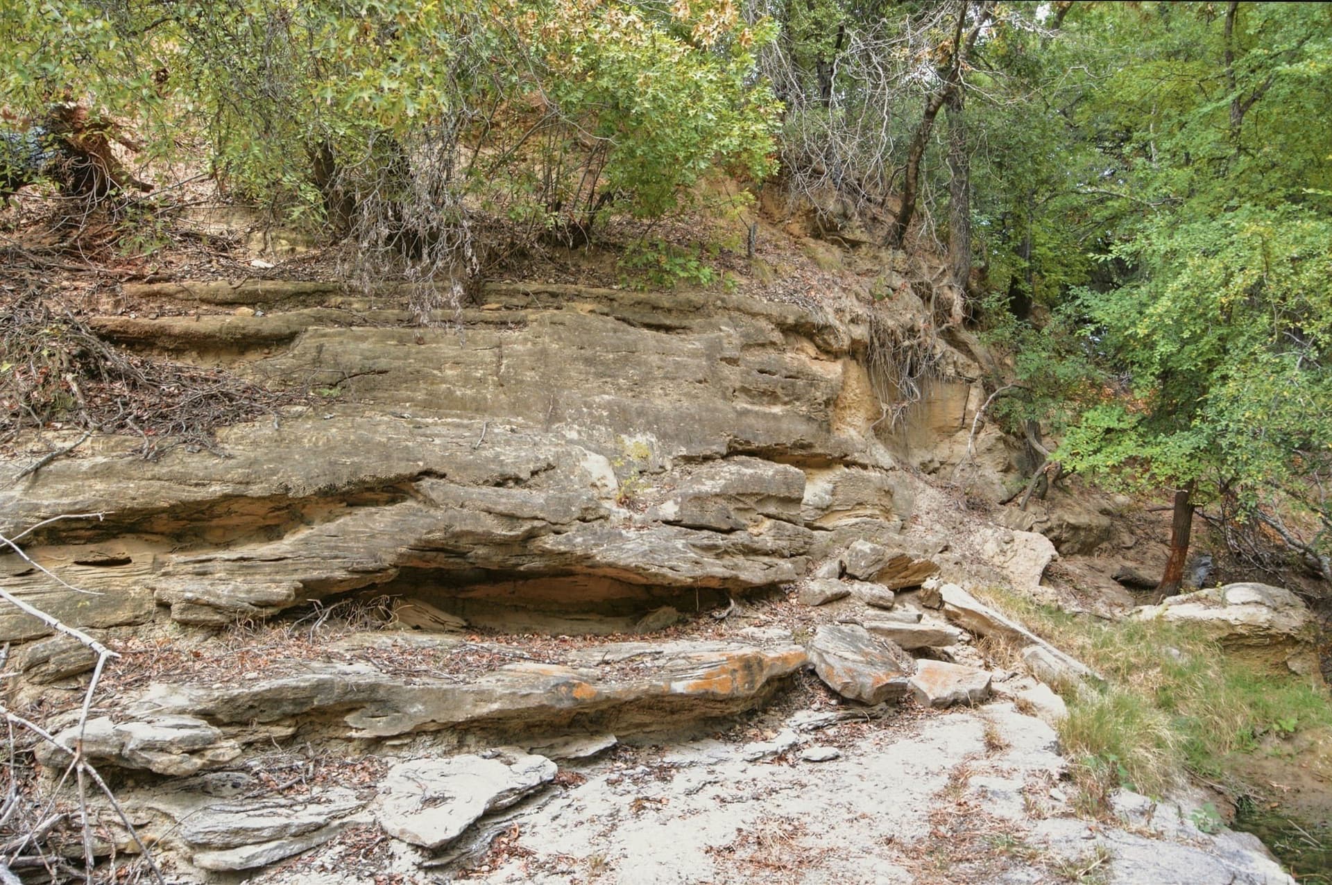 83 acres in Comanche County - photo 31