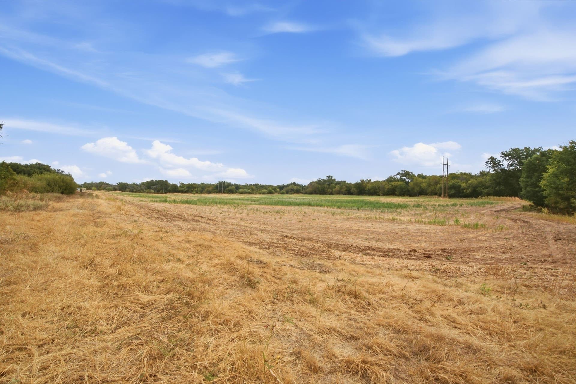 83 acres in Comanche County - photo 23