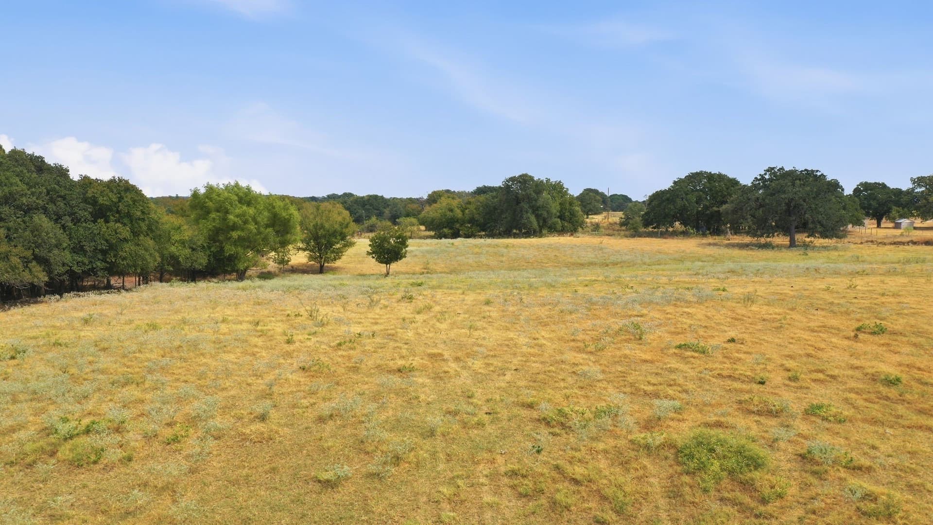 83 acres in Comanche County - photo 17