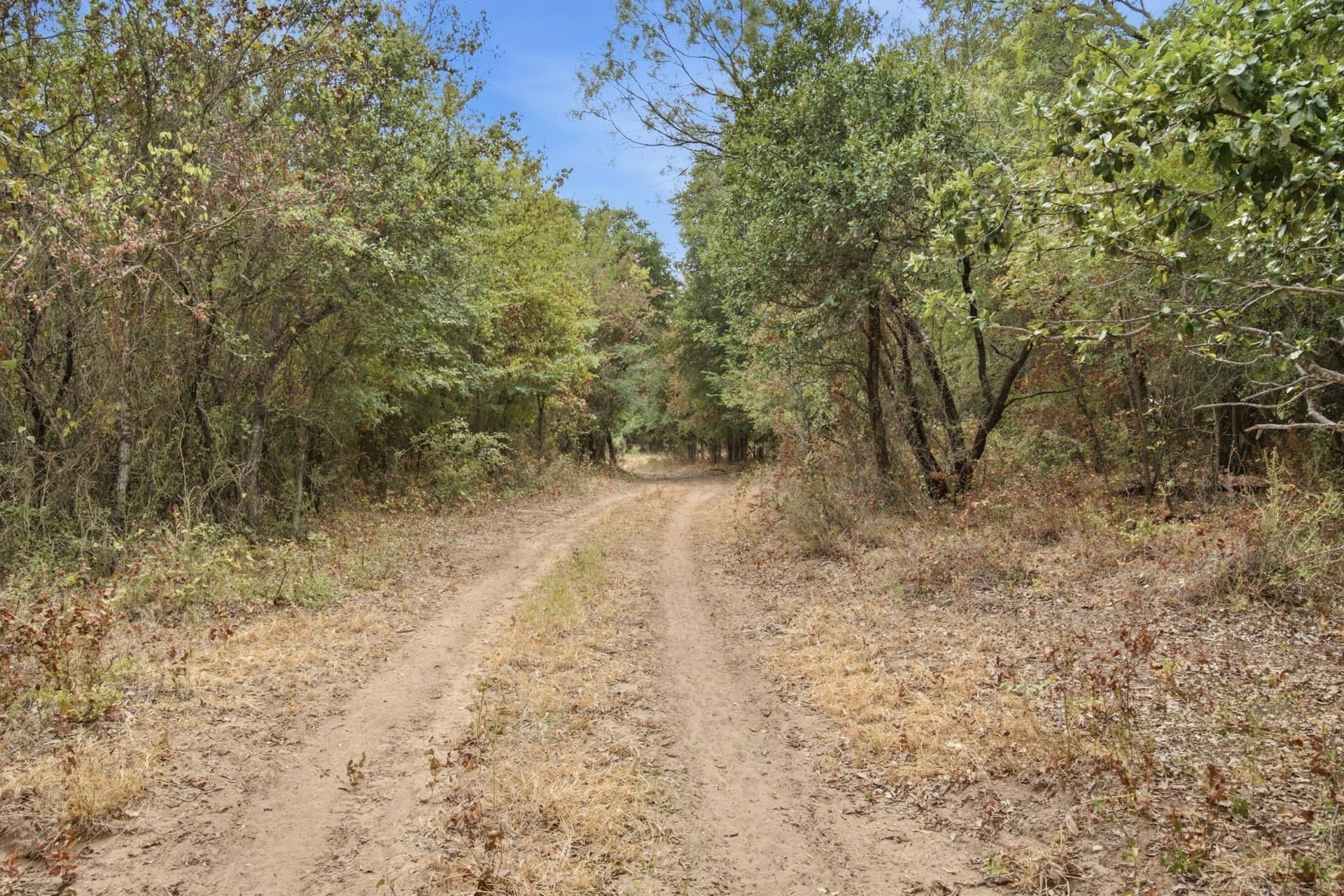 83 acres in Comanche County - photo 35
