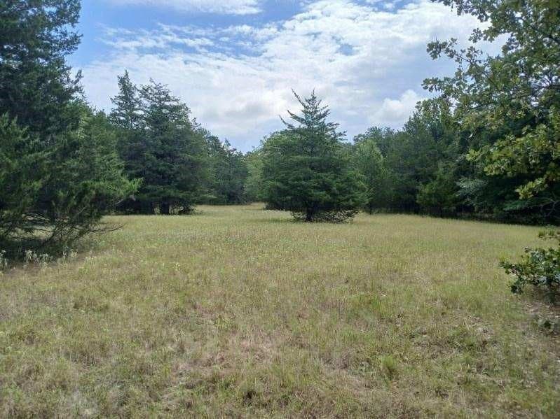 22.89 acres in Hopkins County - photo 17