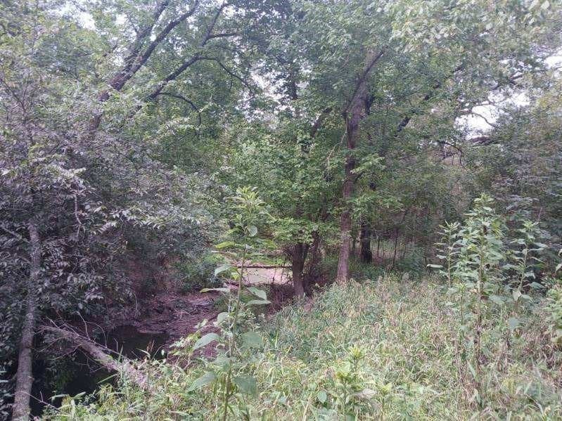 22.89 acres in Hopkins County - photo 24