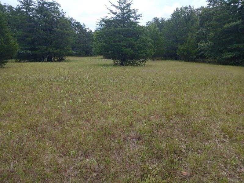 22.89 acres in Hopkins County - photo 18