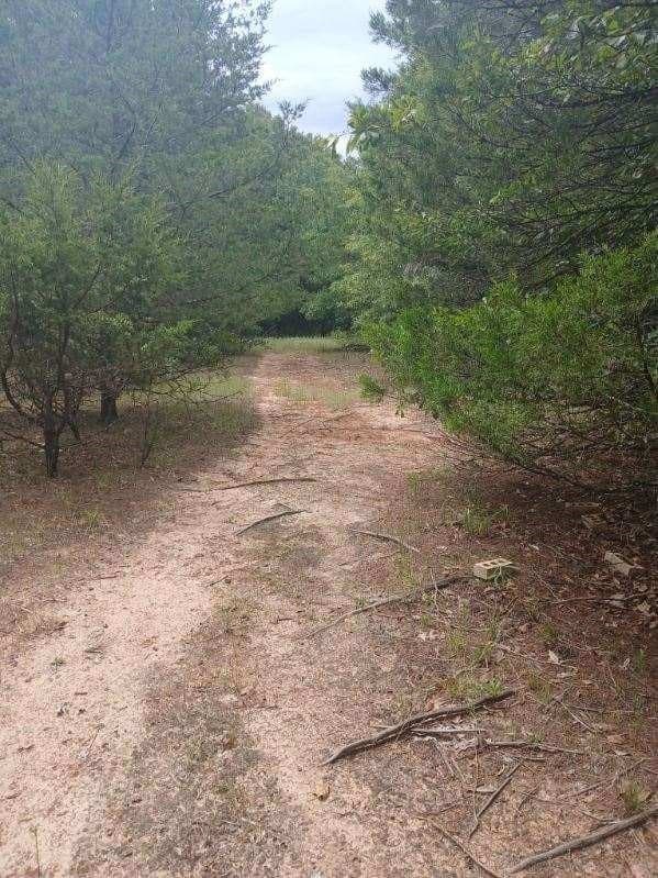 22.89 acres in Hopkins County - photo 28
