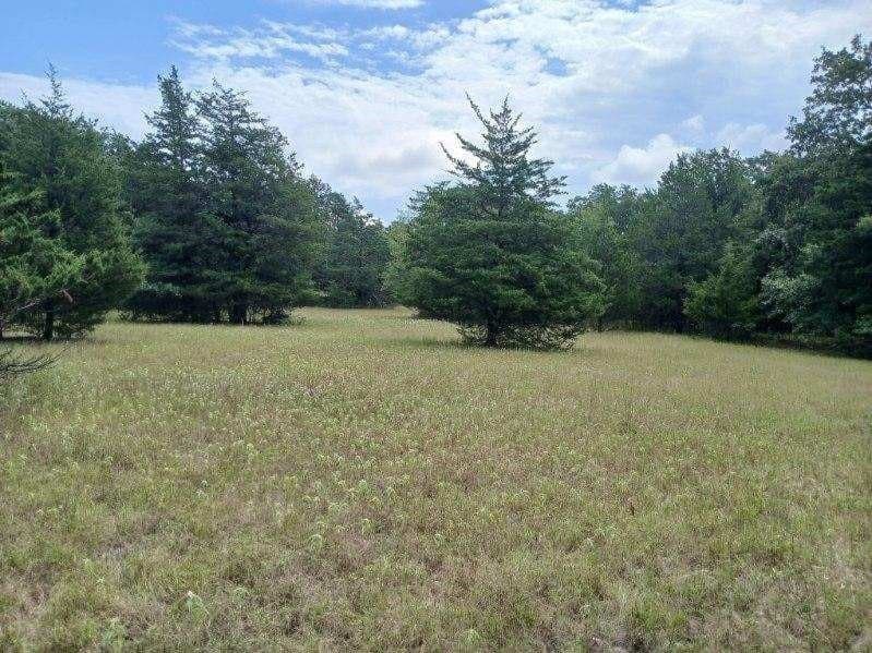22.89 acres in Hopkins County - photo 16