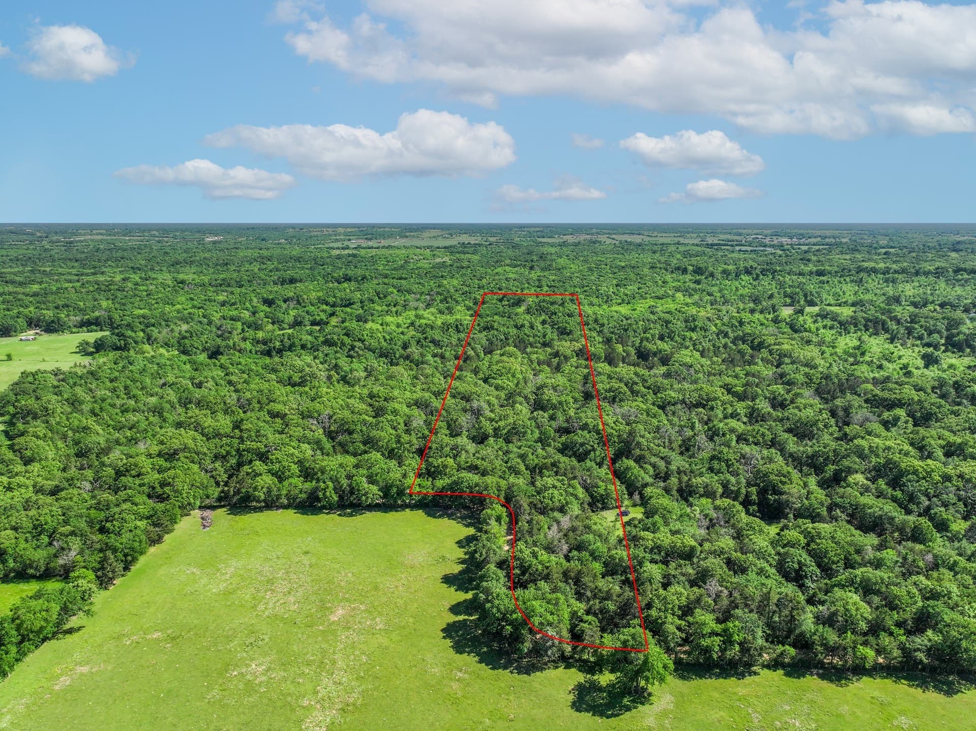 22.89 acres in Hopkins County gallery image 3