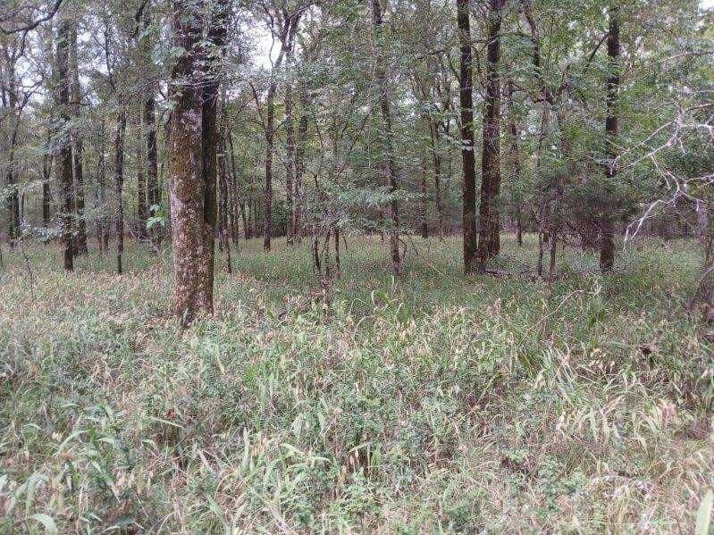 22.89 acres in Hopkins County - photo 25