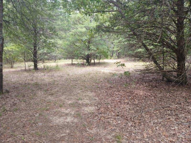 22.89 acres in Hopkins County - photo 26