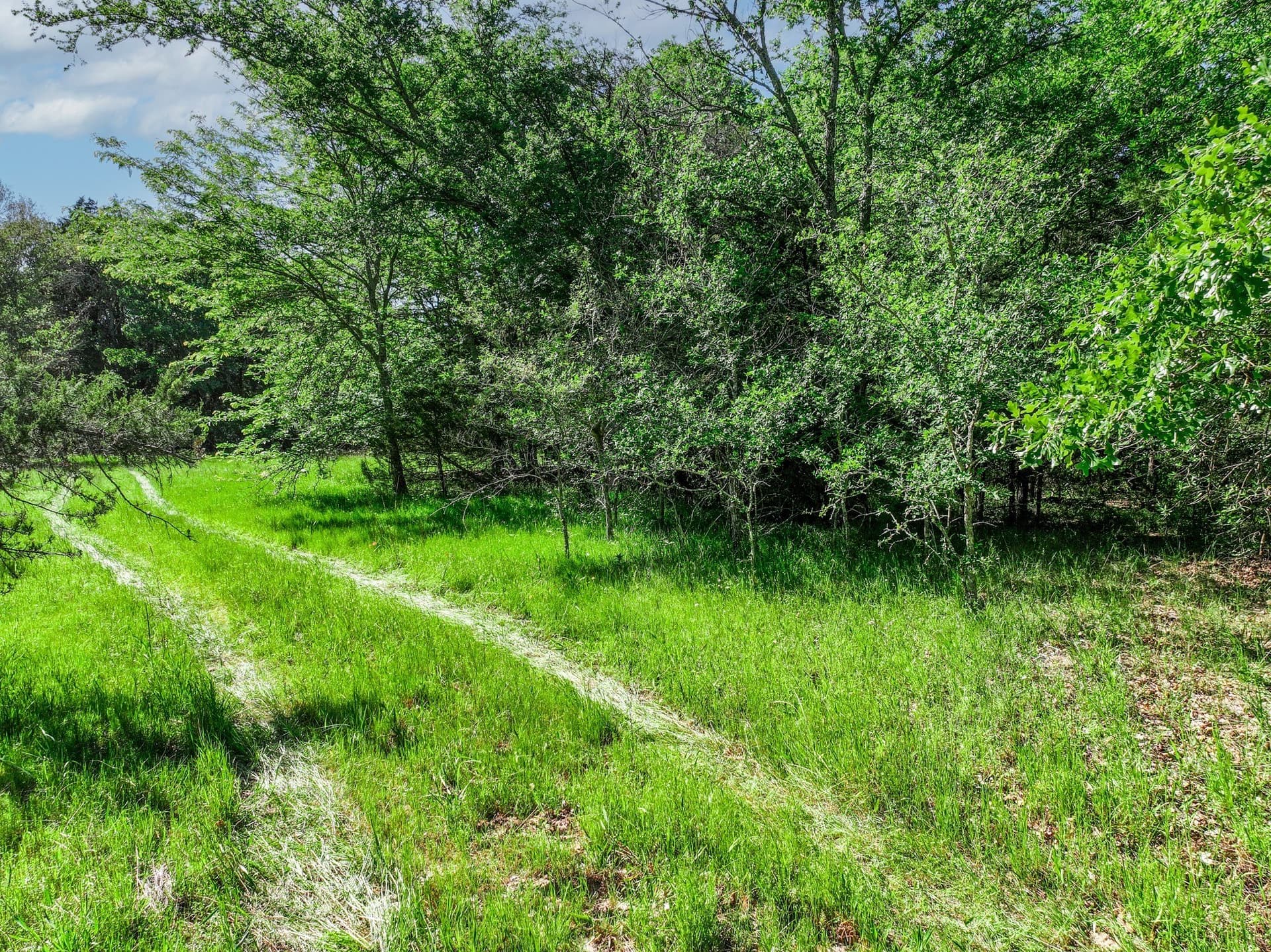 22.89 acres in Hopkins County - photo 6