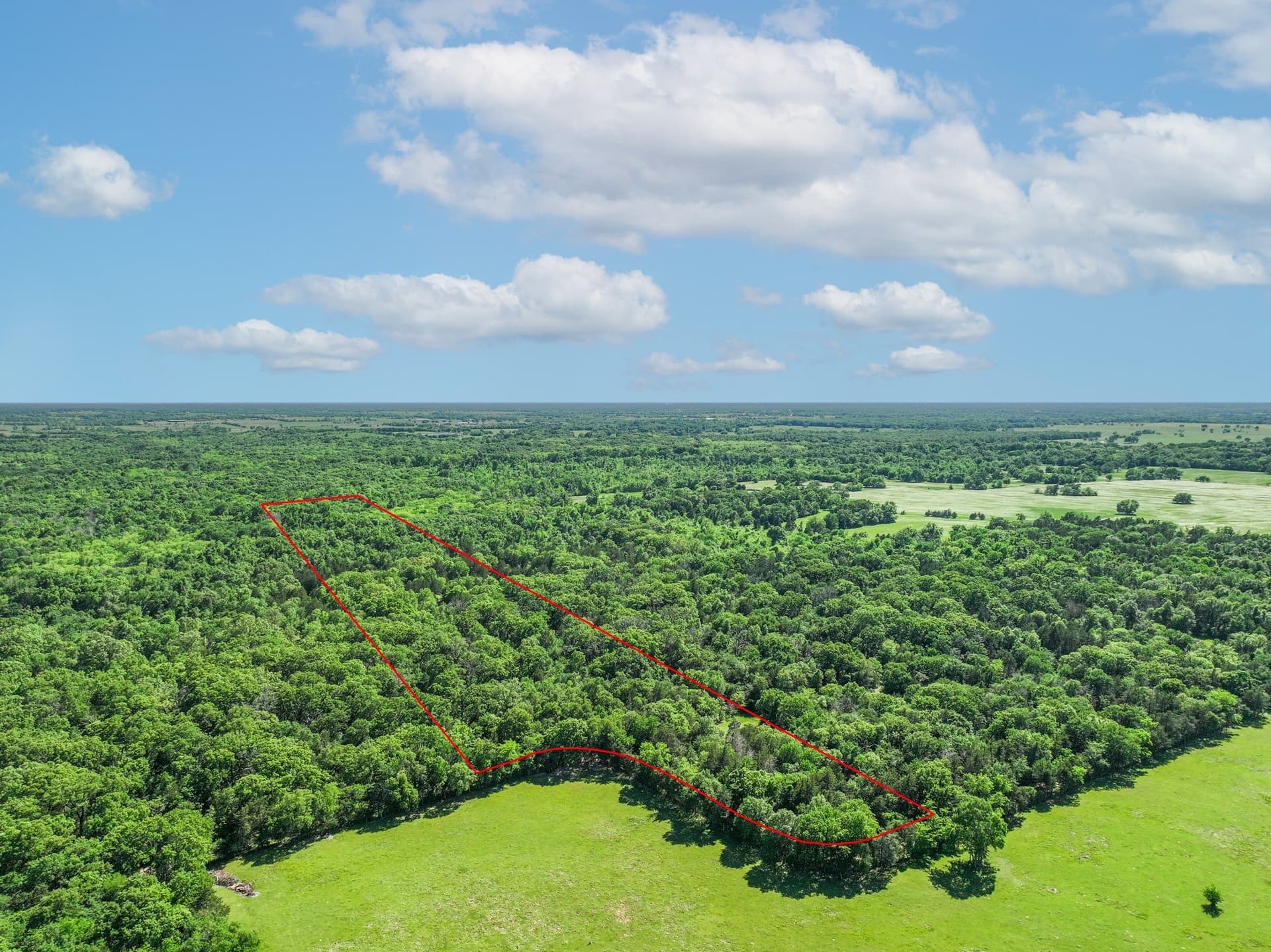 22.89 acres in Hopkins County gallery image 4
