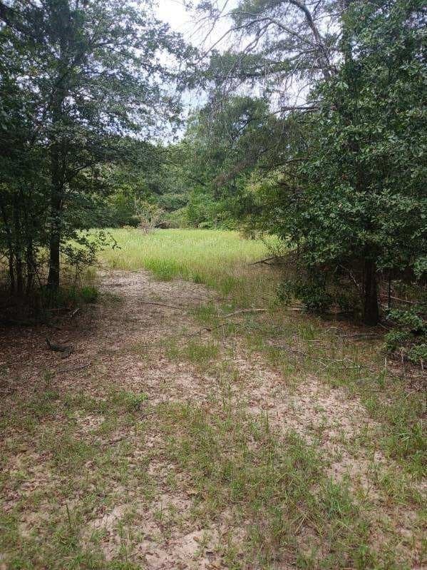 22.89 acres in Hopkins County - photo 29