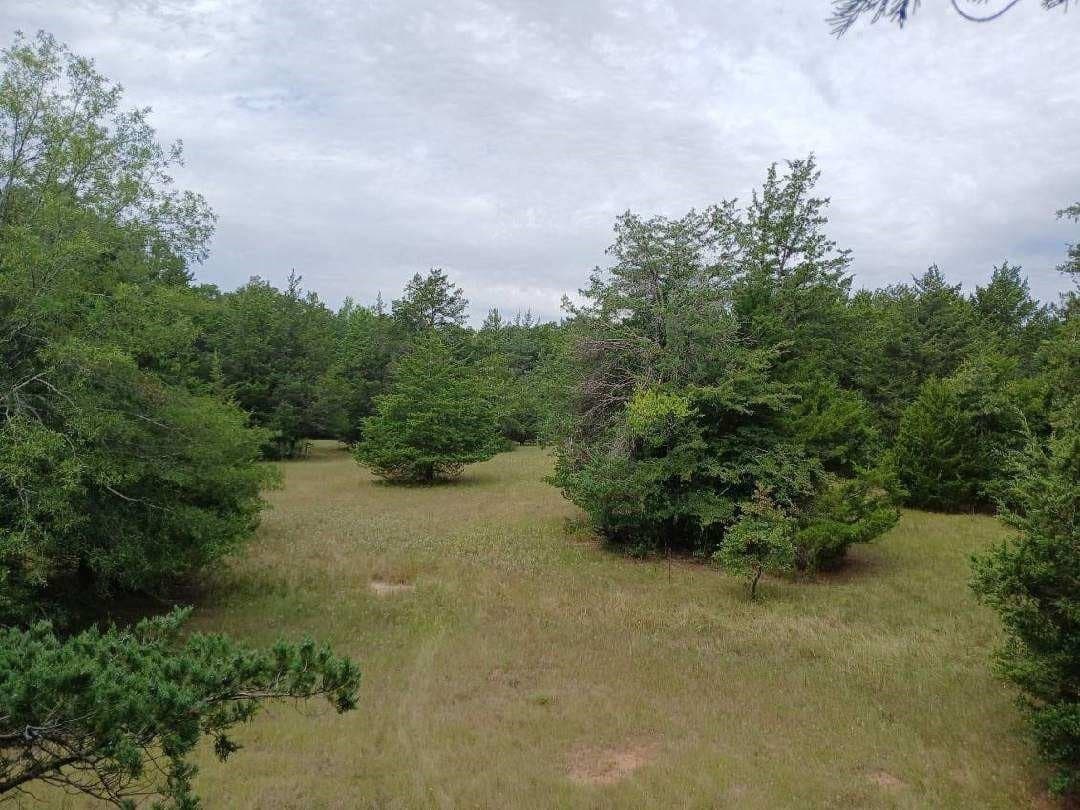 22.89 acres in Hopkins County - photo 20
