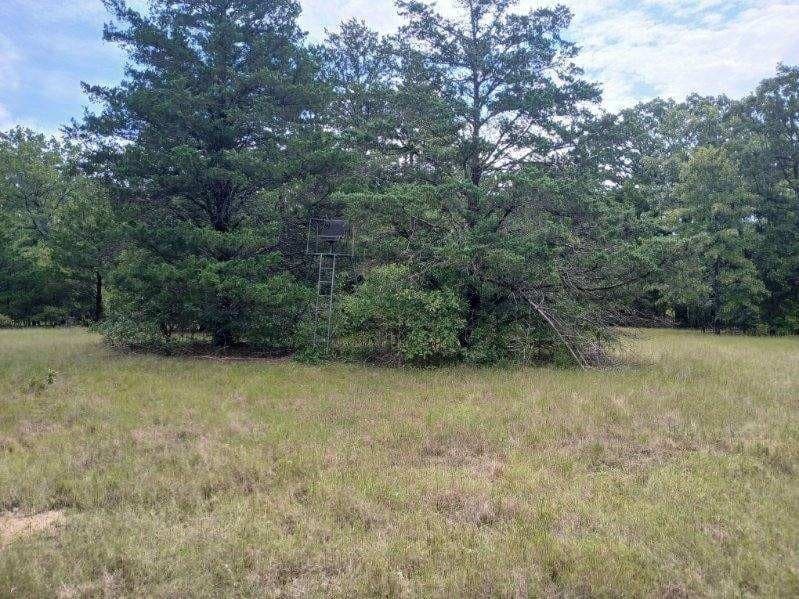 22.89 acres in Hopkins County - photo 19