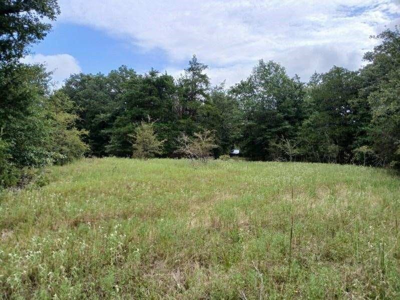 22.89 acres in Hopkins County - photo 15