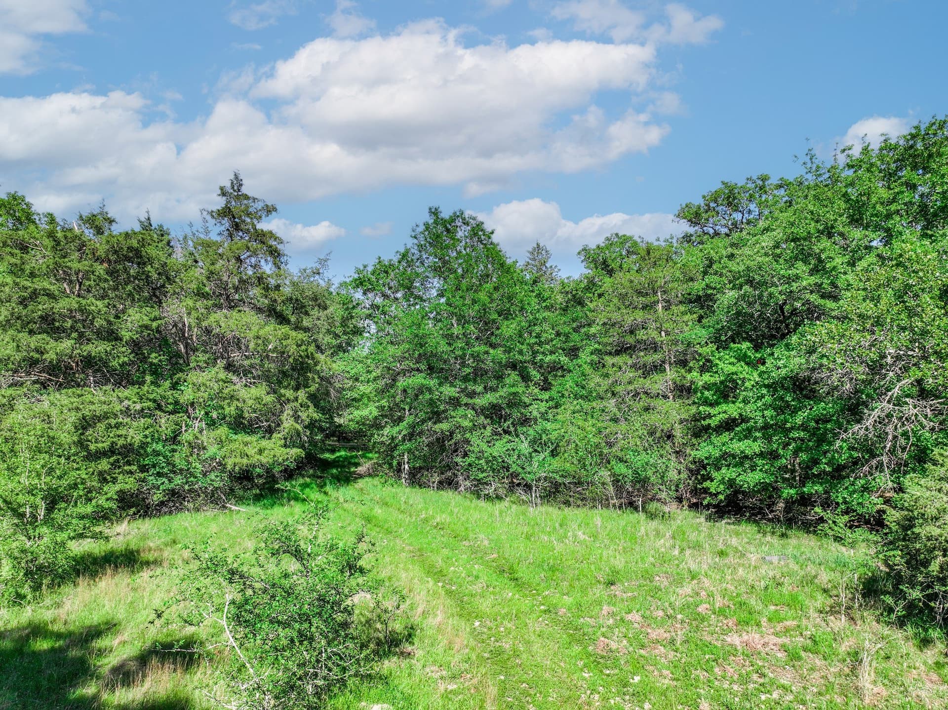 22.89 acres in Hopkins County - photo 7