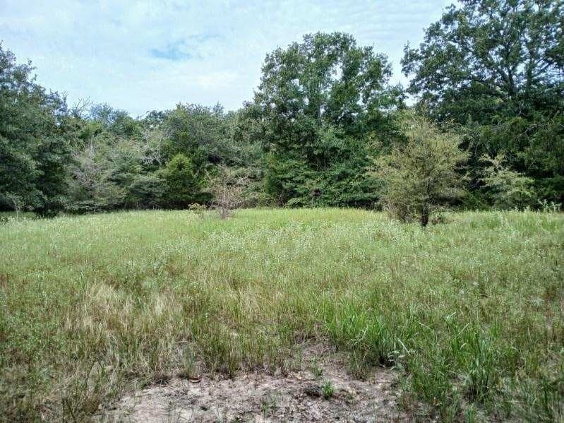 22.89 acres in Hopkins County - photo 14