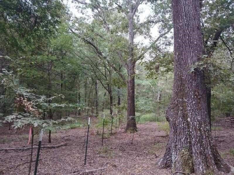 22.89 acres in Hopkins County - photo 21