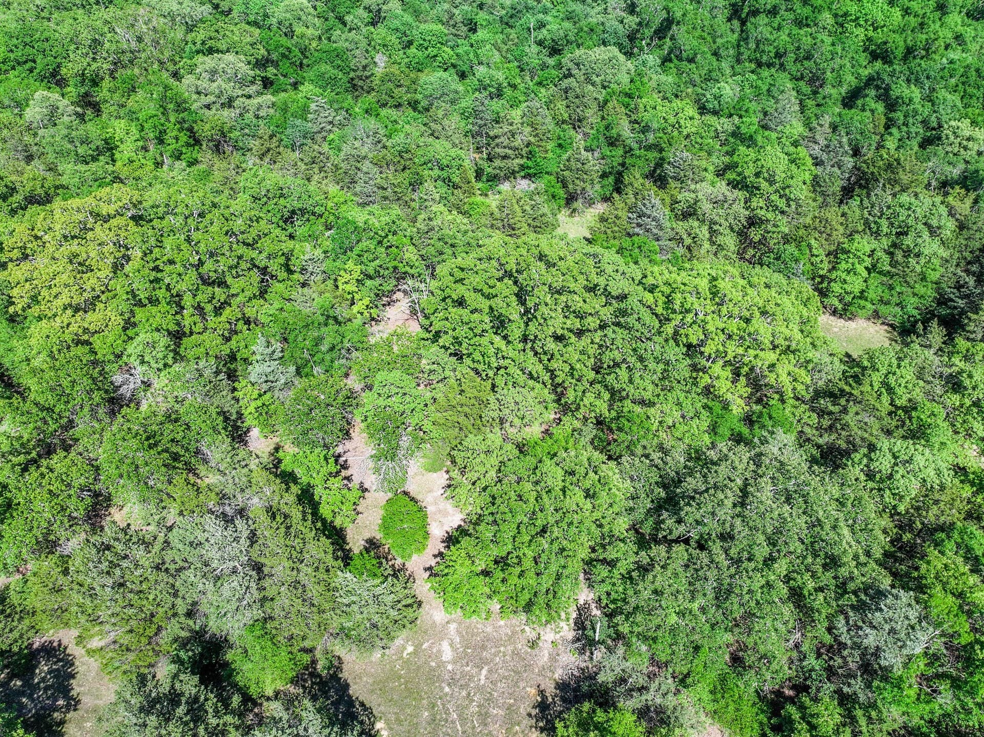 22.89 acres in Hopkins County - photo 11
