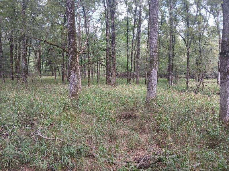 22.89 acres in Hopkins County - photo 22