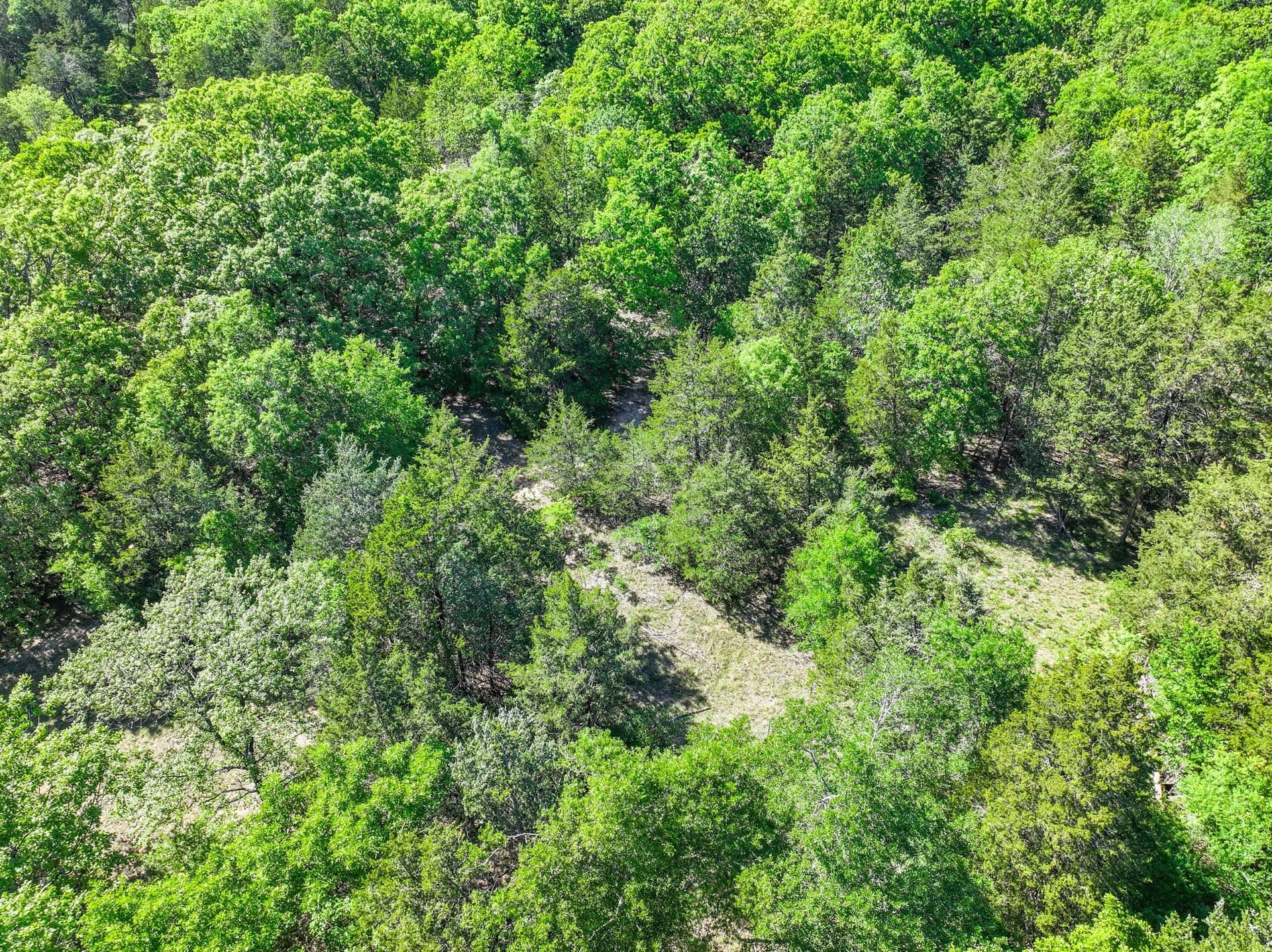 22.89 acres in Hopkins County - photo 10