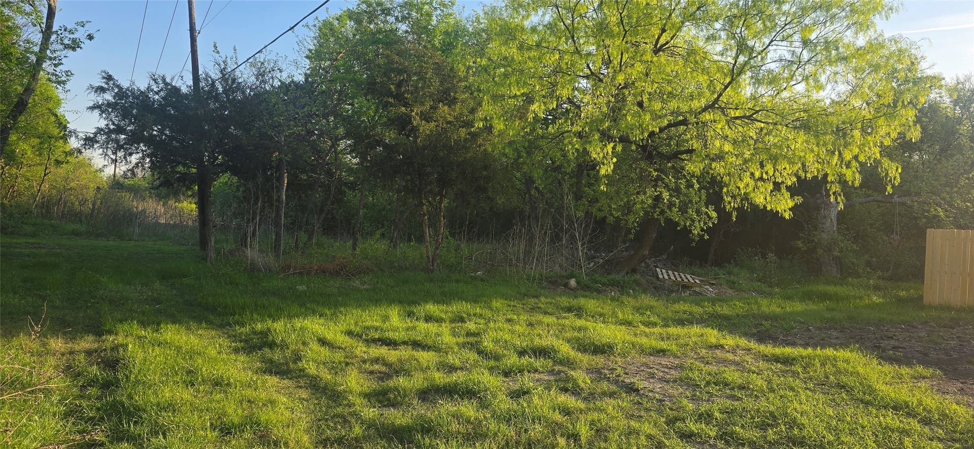 0.26 acres in Dallas County gallery image 2