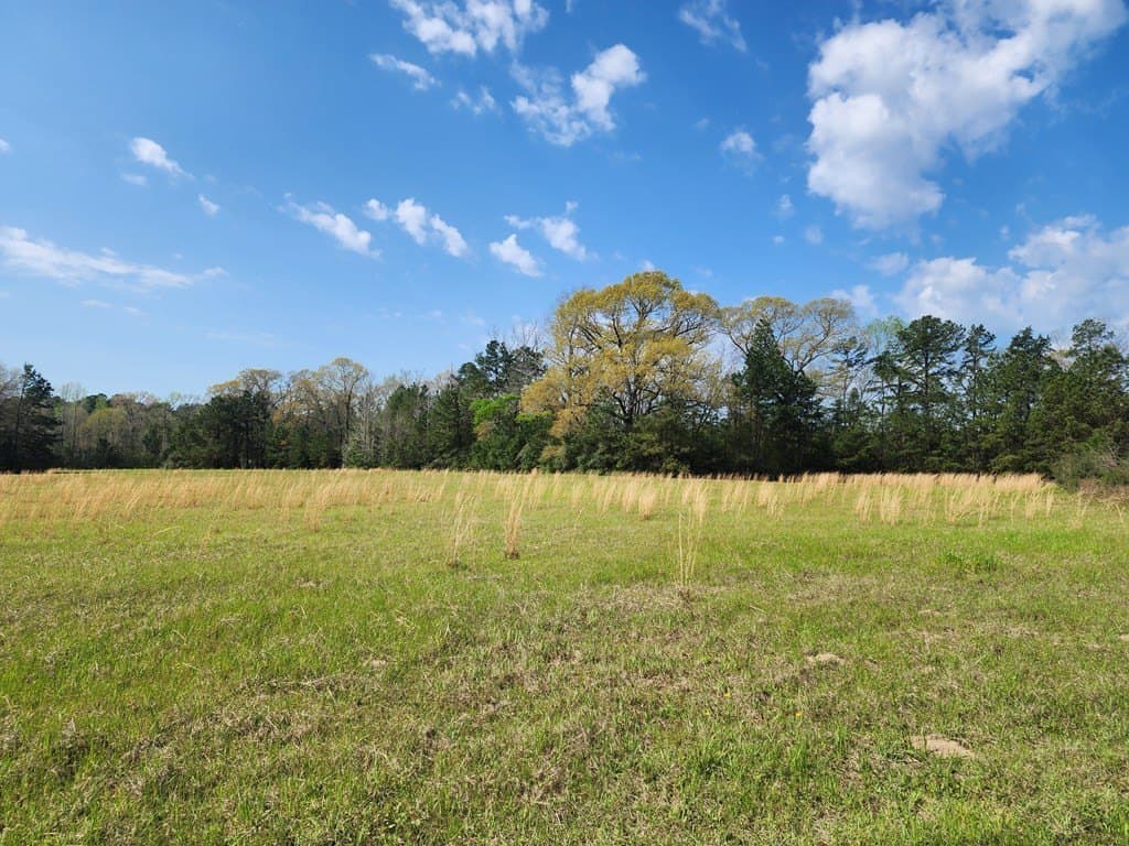 25.58 acres in Texas County gallery image 3