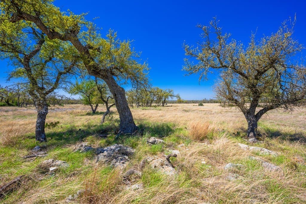 5.16 acres in Gillespie County featured view