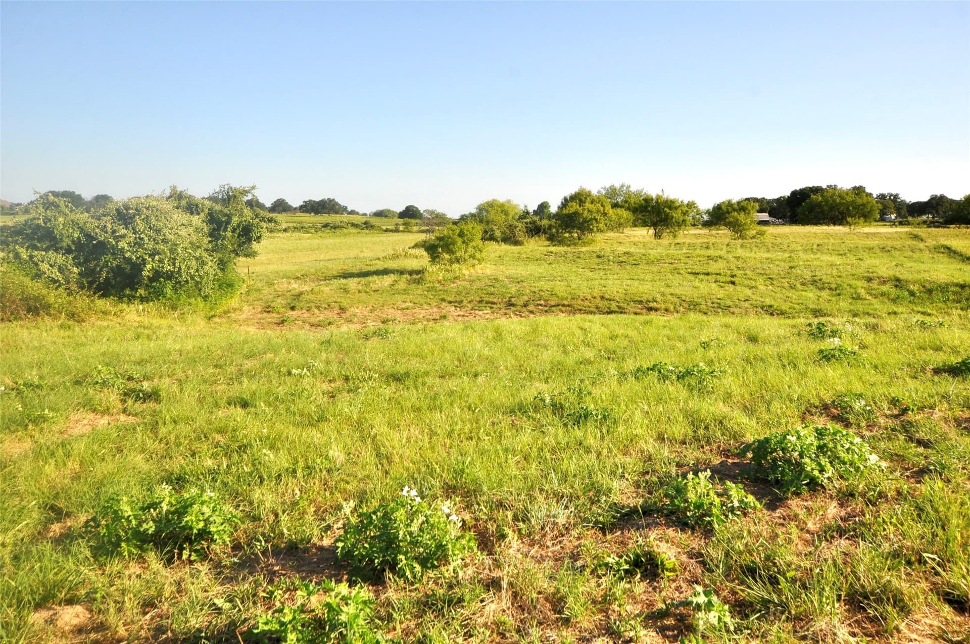 4.4 acres in Parker County - photo 9