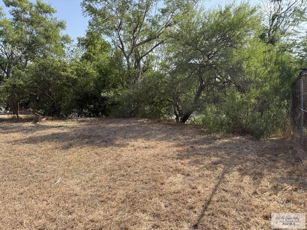 0.12 acres in CAMERON County - photo 3