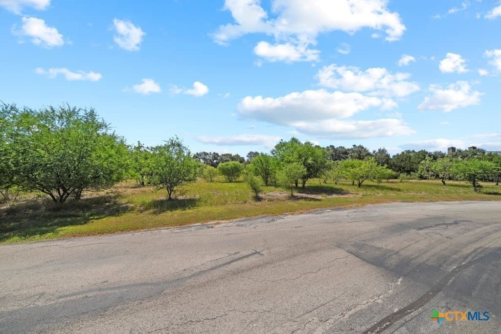 2.7 acres in Comal County - photo 9