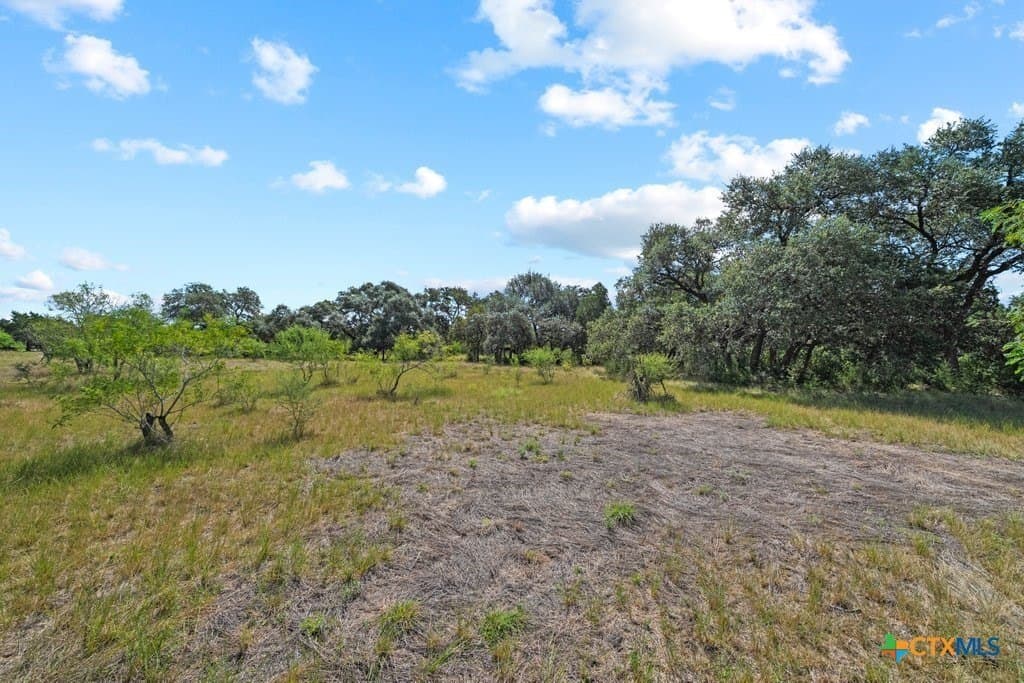 2.7 acres in Comal County - photo 13