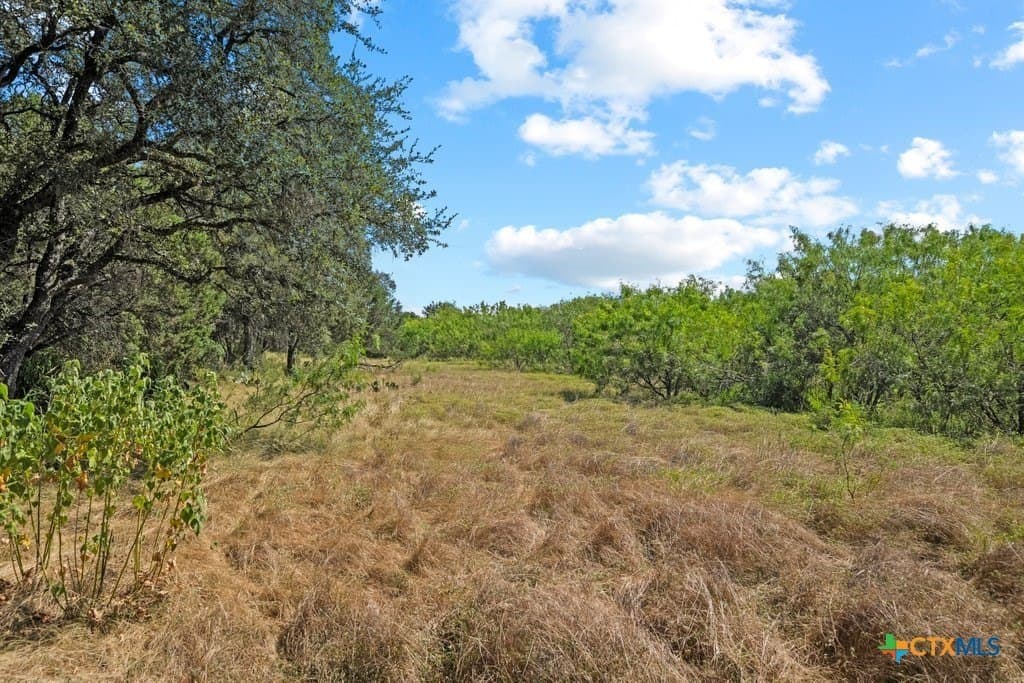 2.7 acres in Comal County - photo 3