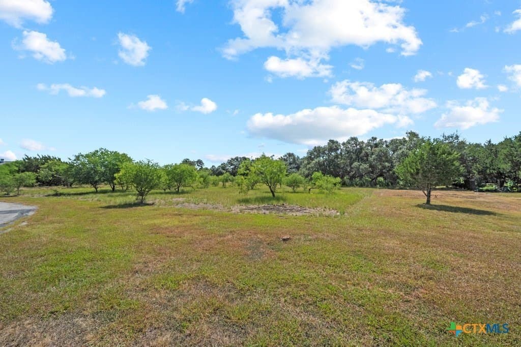 2.7 acres in Comal County - photo 10