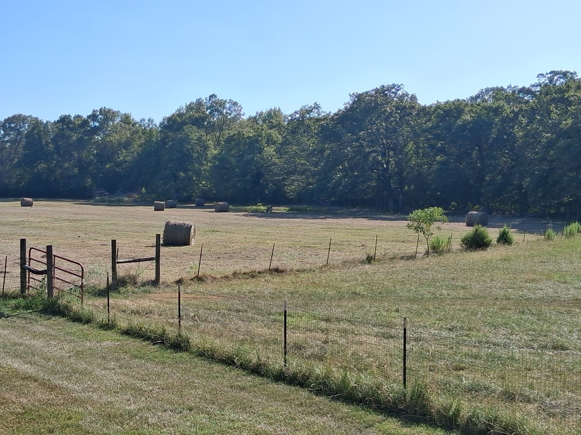 15 acres in Franklin (TX) County - photo 40