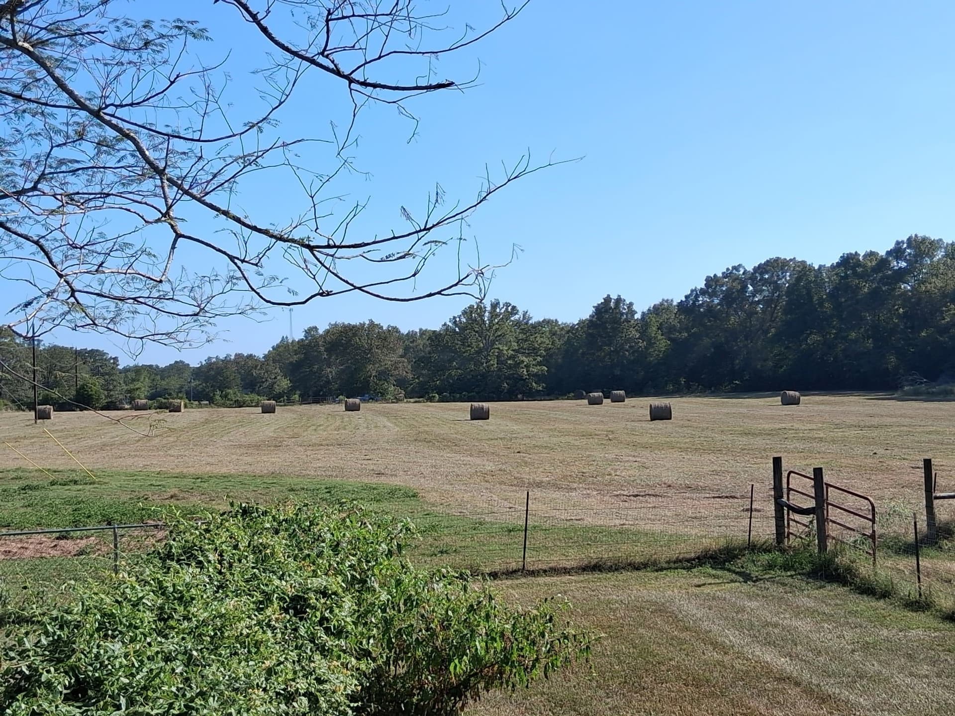 15 acres in Franklin (TX) County - photo 39