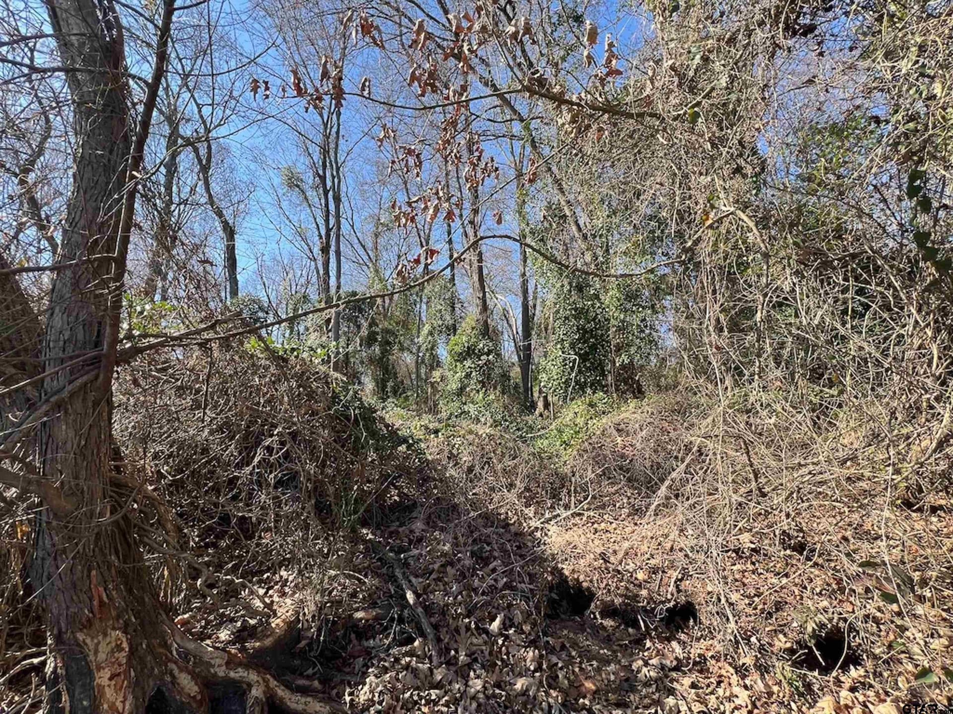 0.91 acres in Franklin County - photo 6