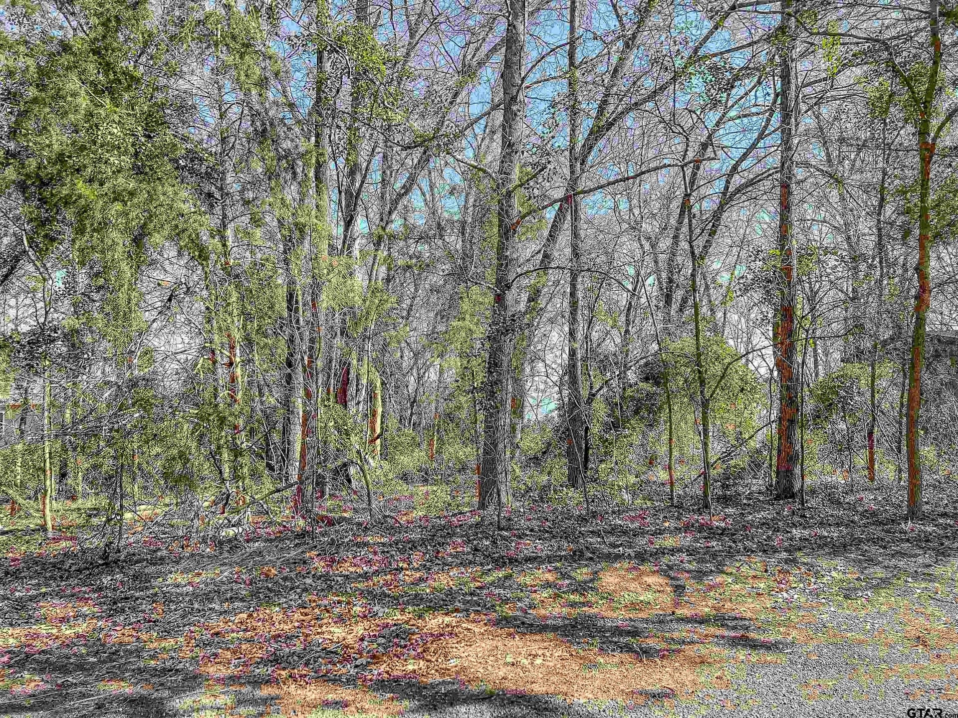 0.91 acres in Franklin County - photo 10